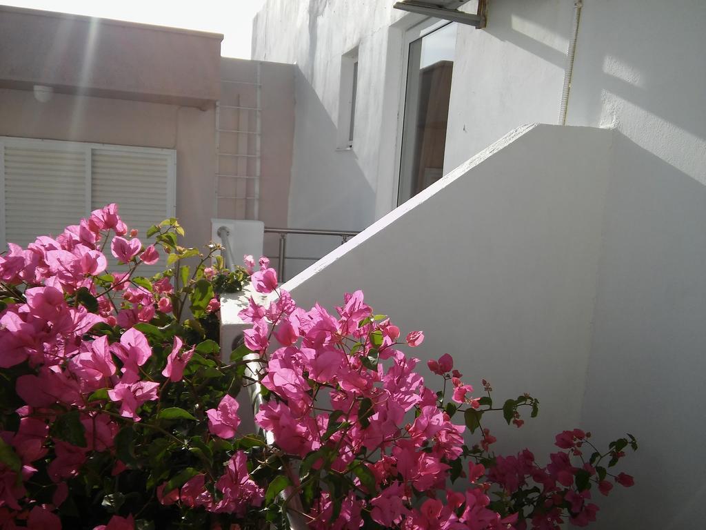 Maria Studios And Apartments Haraki Exterior photo